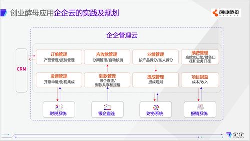 创业酵母孟长安 财务是天然的数字化管理系统